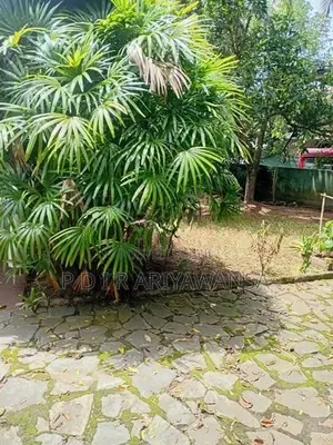 කිරිබත්ගොඩ නගරයෙන්ම පර්චස් 25ක බිම් කොටසක්