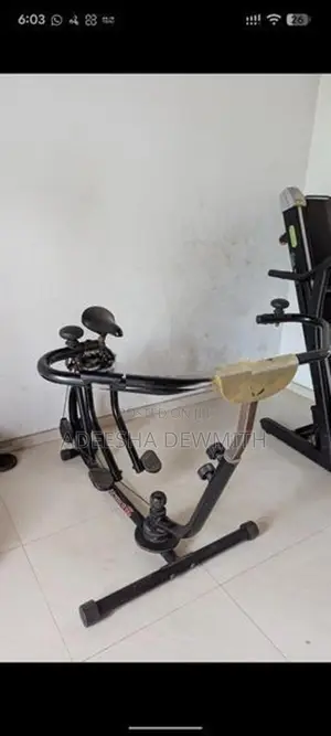 Ecer Gym Set