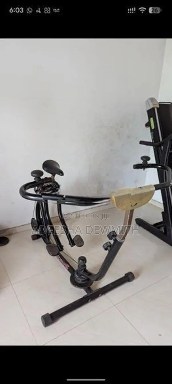 Ecer Gym Set