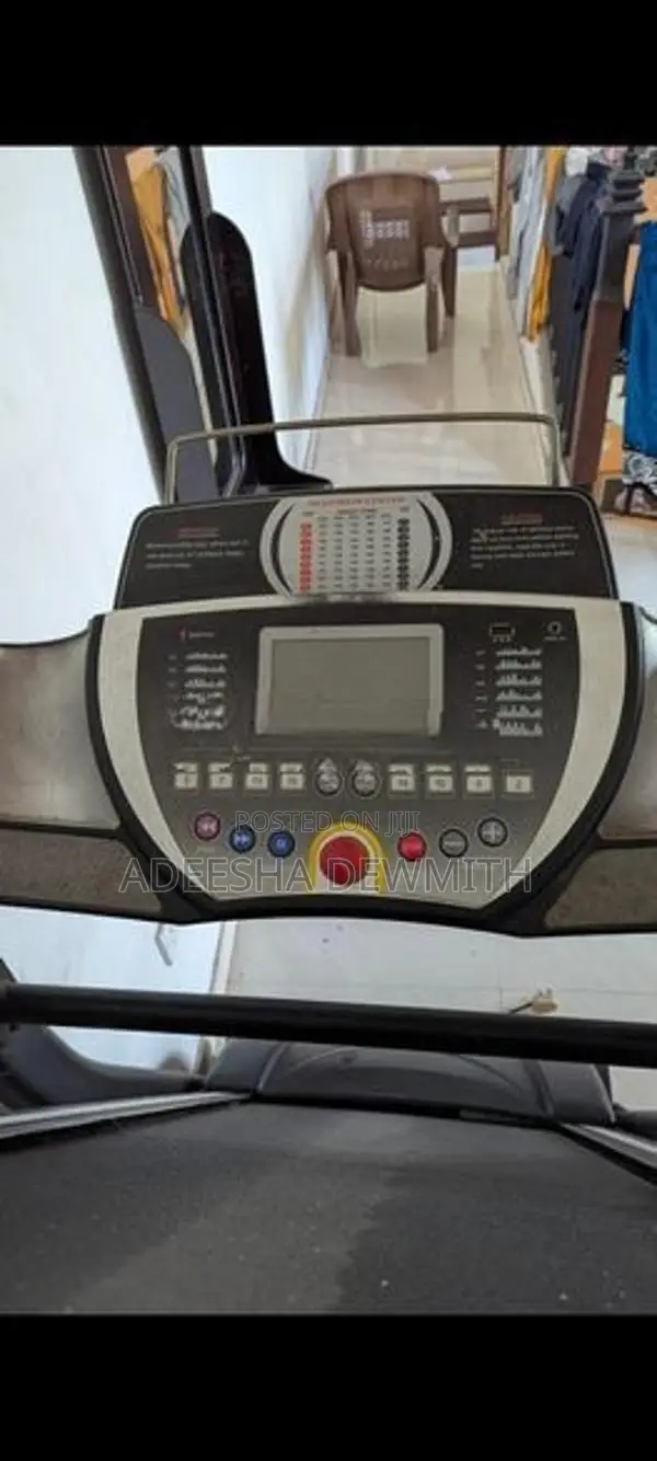 Ecer Gym Set