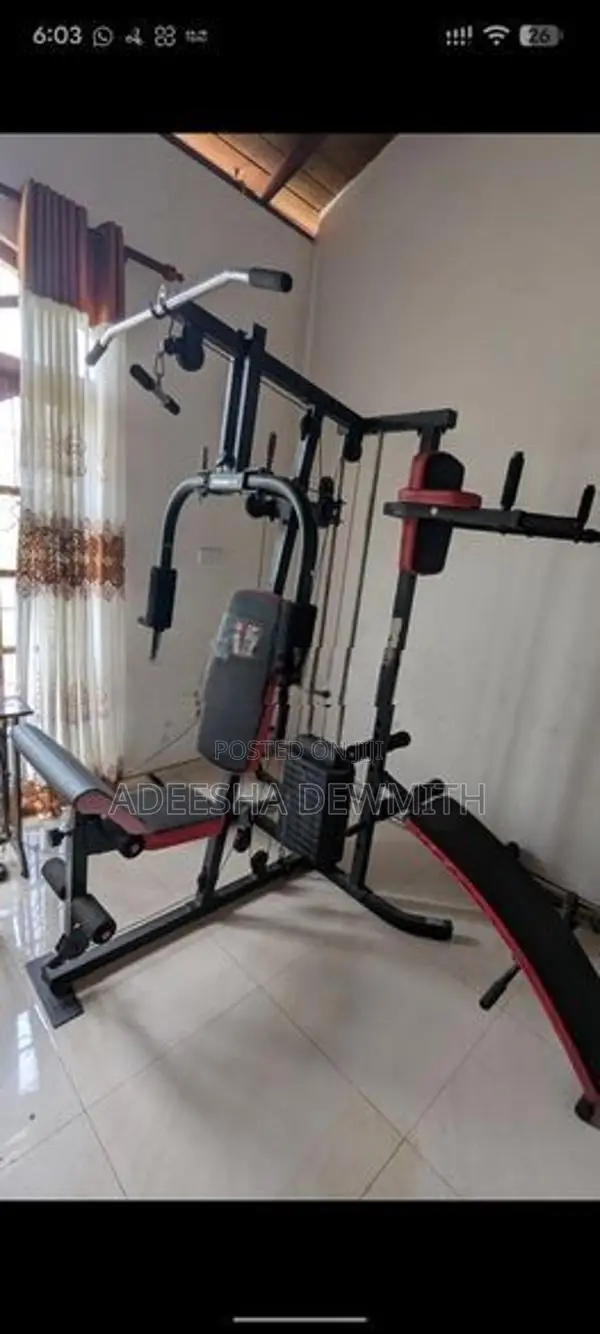 Ecer Gym Set