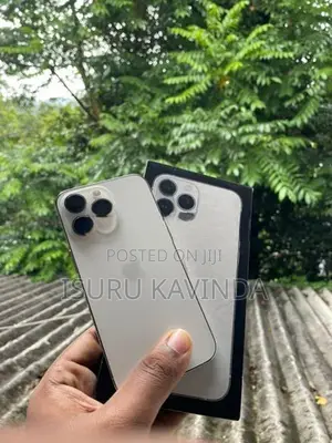 Apple iPhone 13 Pro (Used)