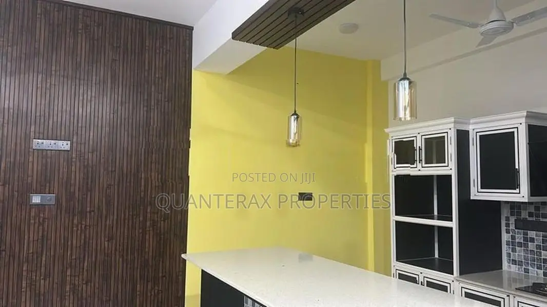 Brand New 2 Bedroom Semi Apartment for Rent Col 6