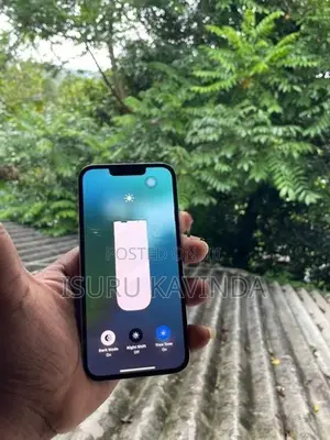 Apple iPhone 13 Pro (Used)