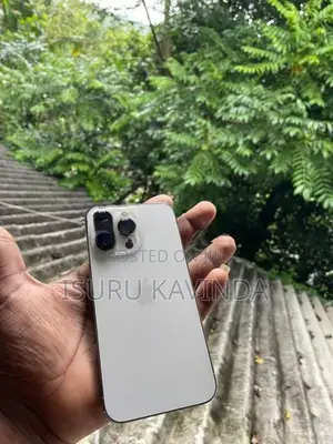 Apple iPhone 13 Pro (Used)