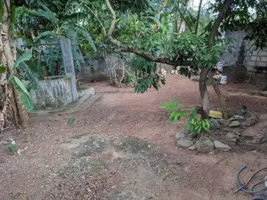 ගනේමුල්ල යාගොඩ ඉඩමේ වටිනාකමට ගෙයක්