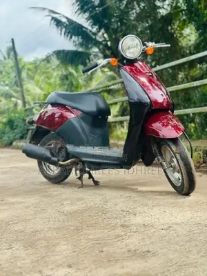 Honda Today 2024