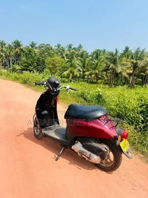 Honda Today 2024