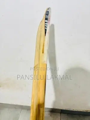 Used Cricket Bat