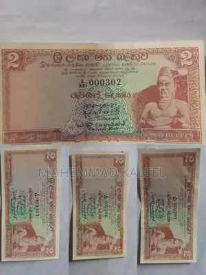 Old Notes