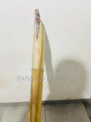 Used Cricket Bat