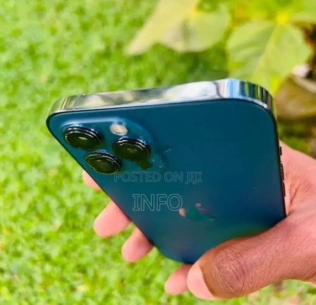 Apple iPhone 12 Pro Max (Used)