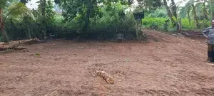 Land for Sale in Bandaragama