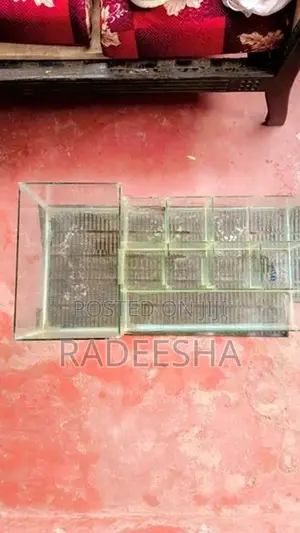 Fish Breeding Tank