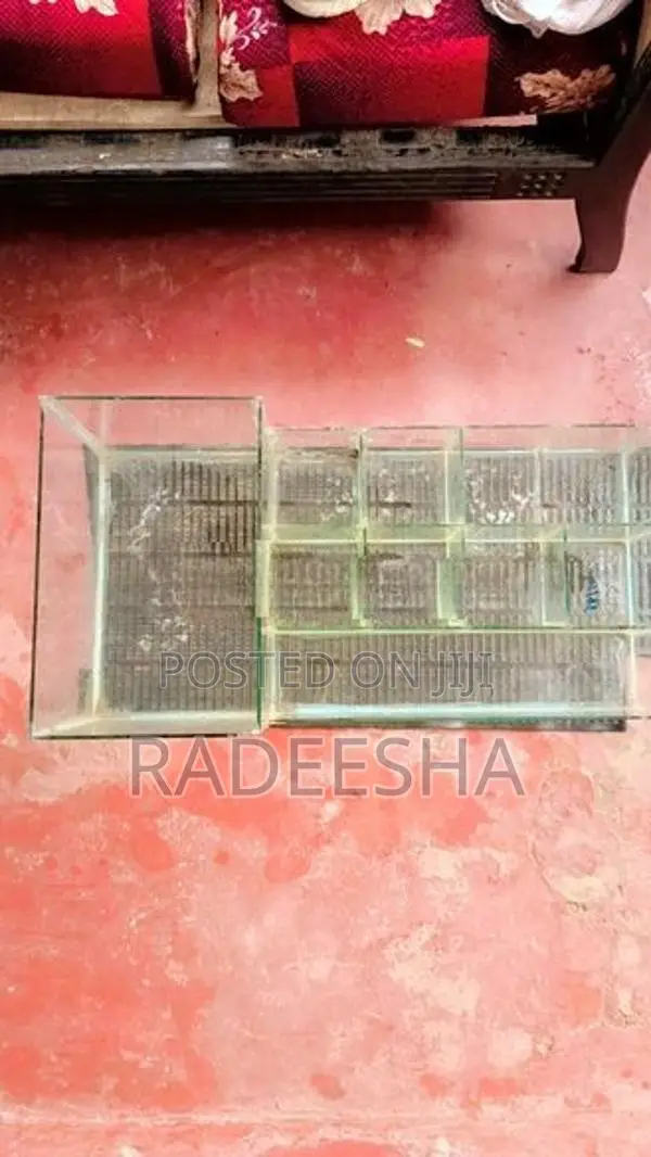 Fish Breeding Tank