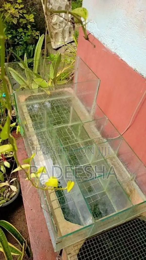 Fish Breeding Tank