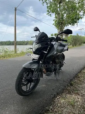 Bajaj Pulsar NS200 2019