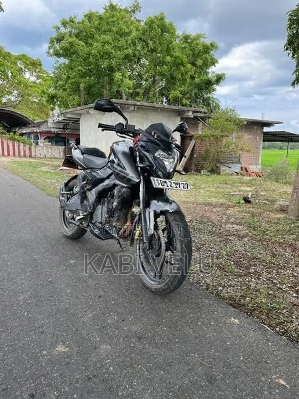 Bajaj Pulsar NS200 2019