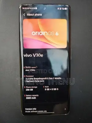 Vivo V30e (Used)