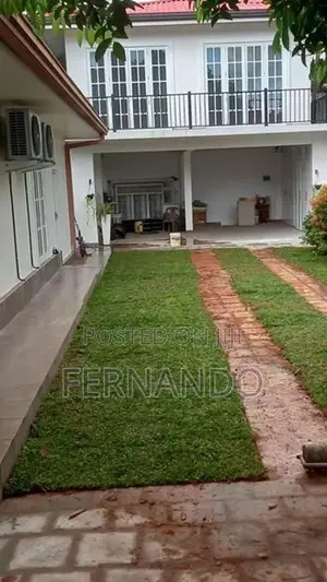Malaysian Carpet Grass
