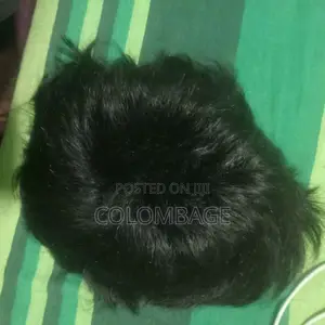 Hair Wig