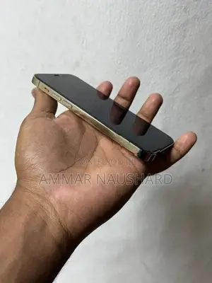 Apple iPhone 12 Pro (Used)
