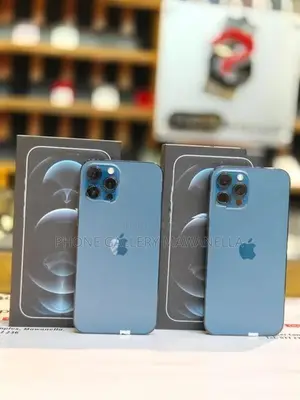 Apple iPhone 12 Pro Max 256GB (Used)