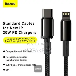 Baseus Tungsten Gold 20W USB-C to Lightning iPhone Fast Charge Cable