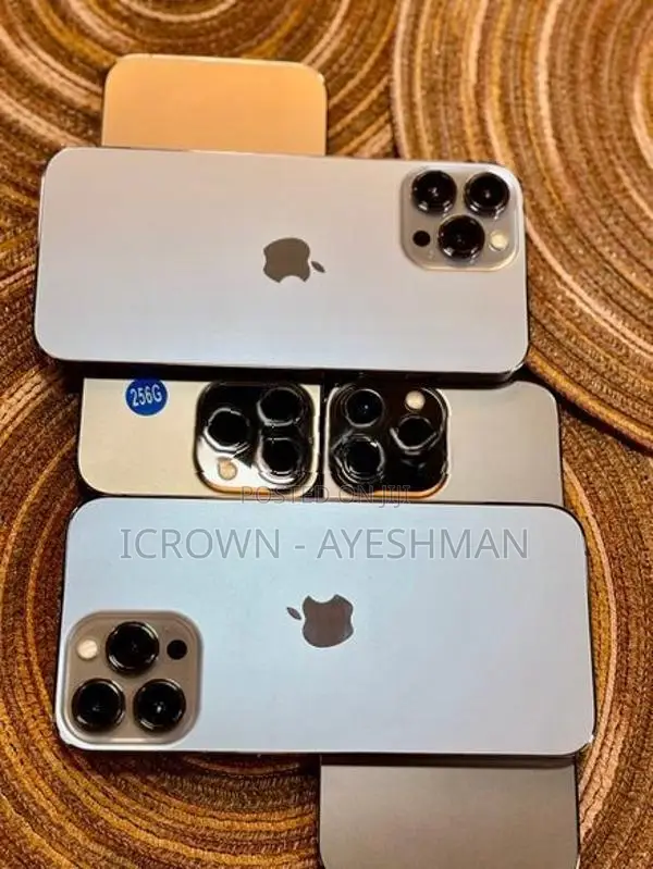 Apple iPhone 13 Pro Max 256GB (Used)
