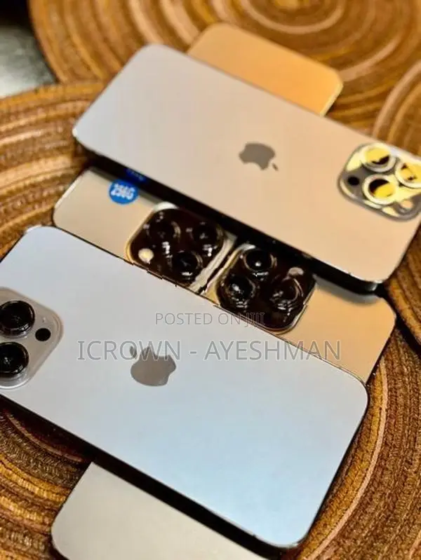 Apple iPhone 13 Pro Max 256GB (Used)