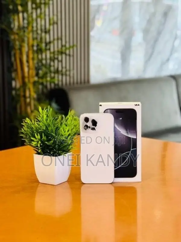 Apple iPhone 16 Pro Max 256GB (Used)