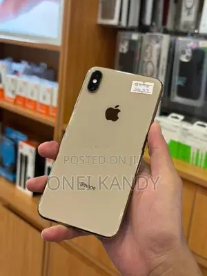 Apple iPhone XS Max 64GB (Used)