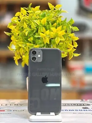 Apple iPhone 11 128GB (Used)