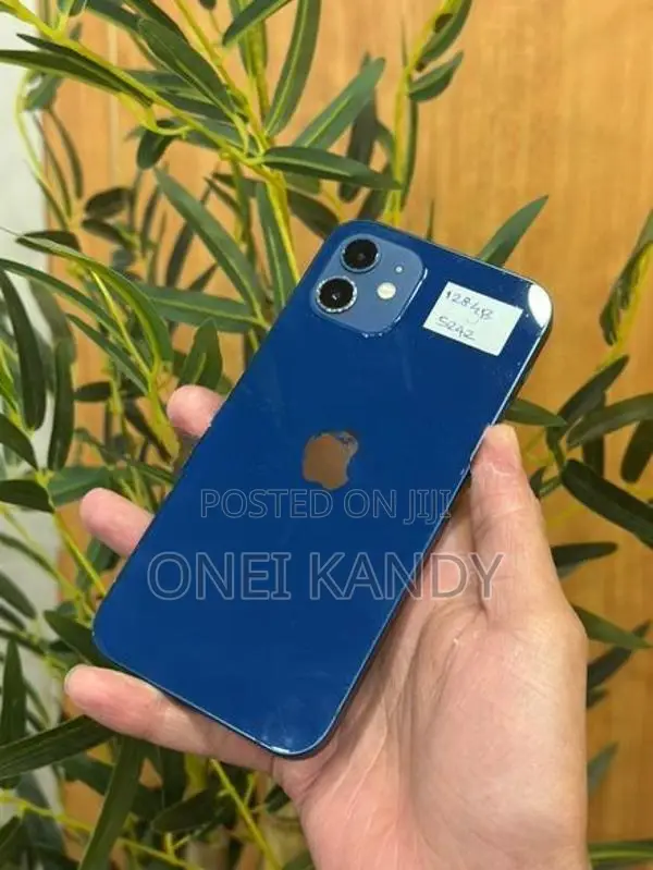 Apple iPhone 12 128GB (Used)