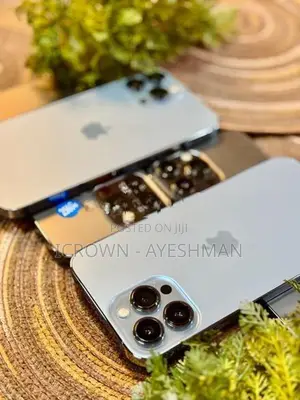 Apple iPhone 13 Pro Max 256GB (Used)
