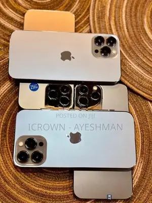 Apple iPhone 13 Pro Max 256GB (Used)