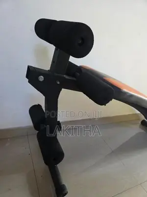 ESER Sit-Up Bench Curve WT-B18B