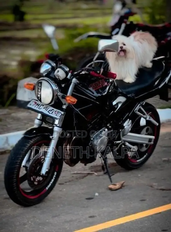 Suzuki Bandit 250 1999