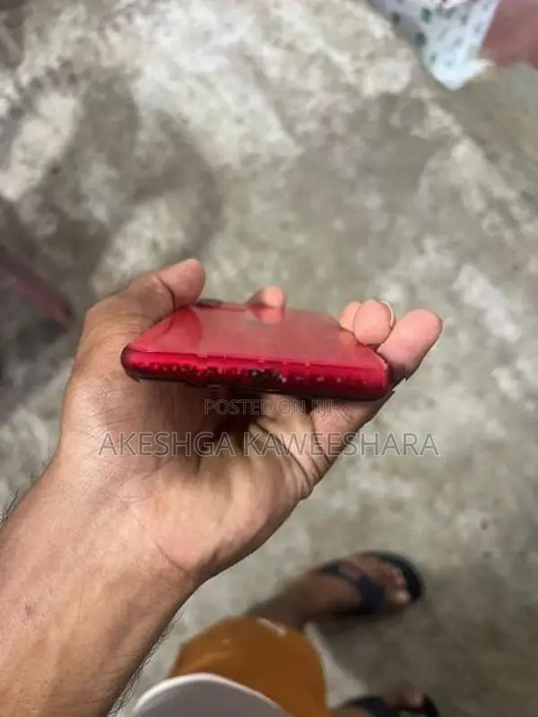 Apple iPhone 11 (Used)