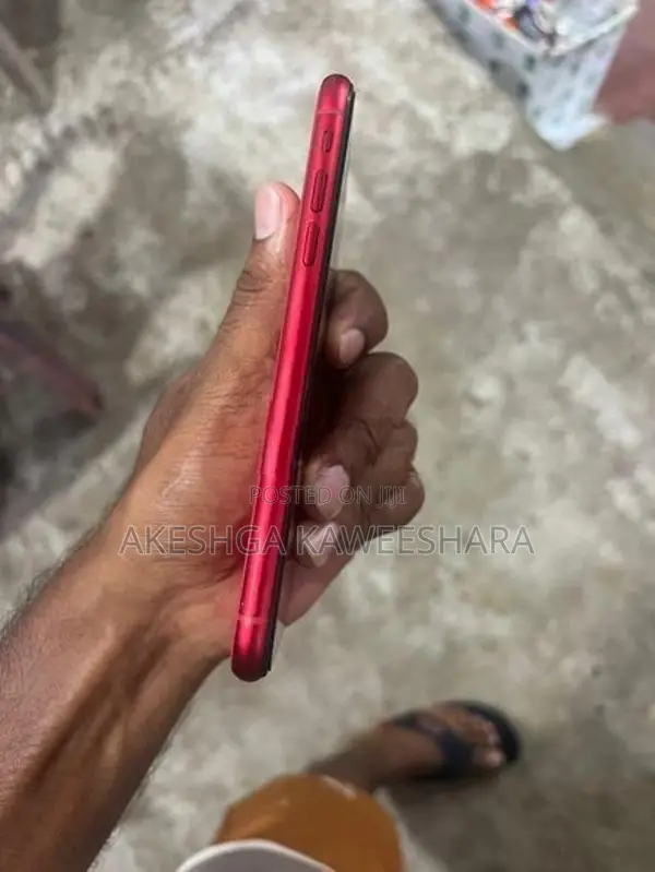 Apple iPhone 11 (Used)