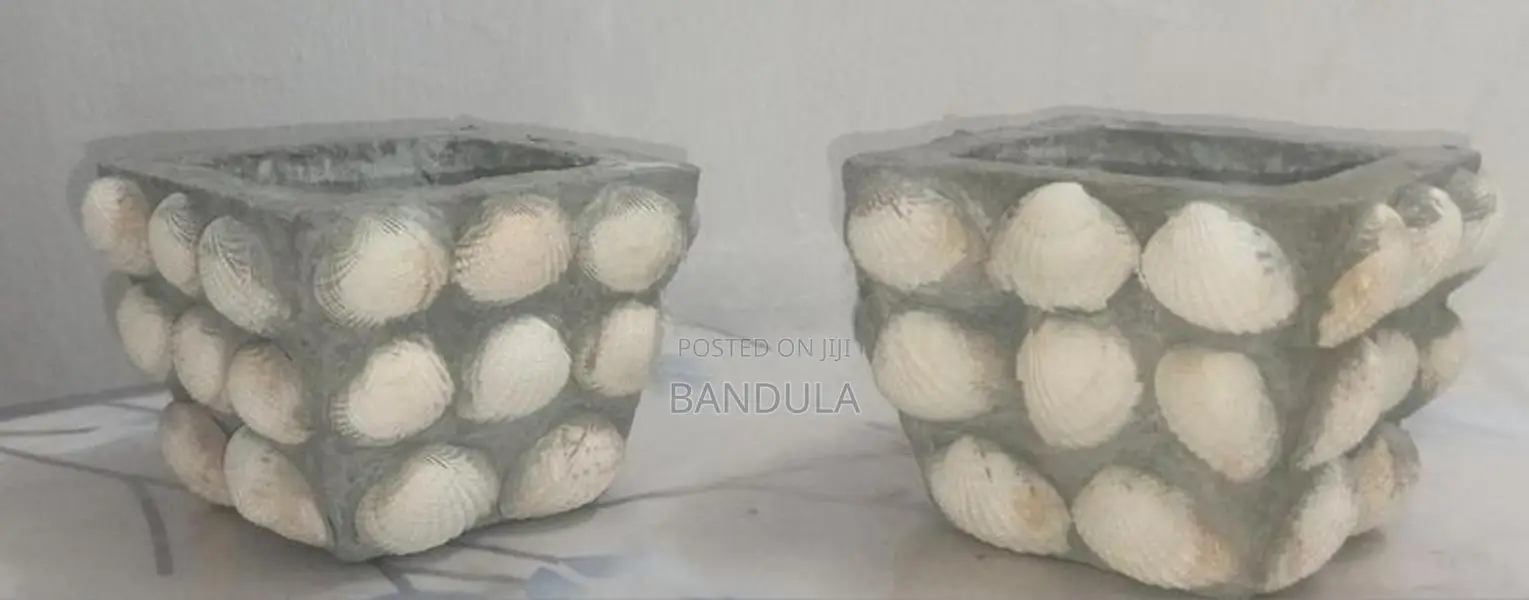 මල් පෝච්චි