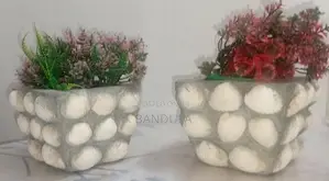 මල් පෝච්චි