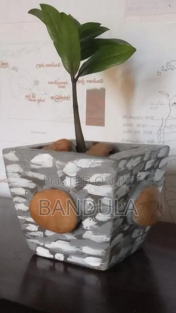 මල් පෝච්චි