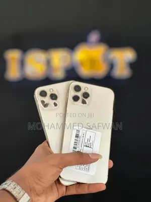 Apple iPhone 12 Pro Max (Used)