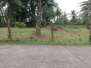 Land For Sale Hanwella
