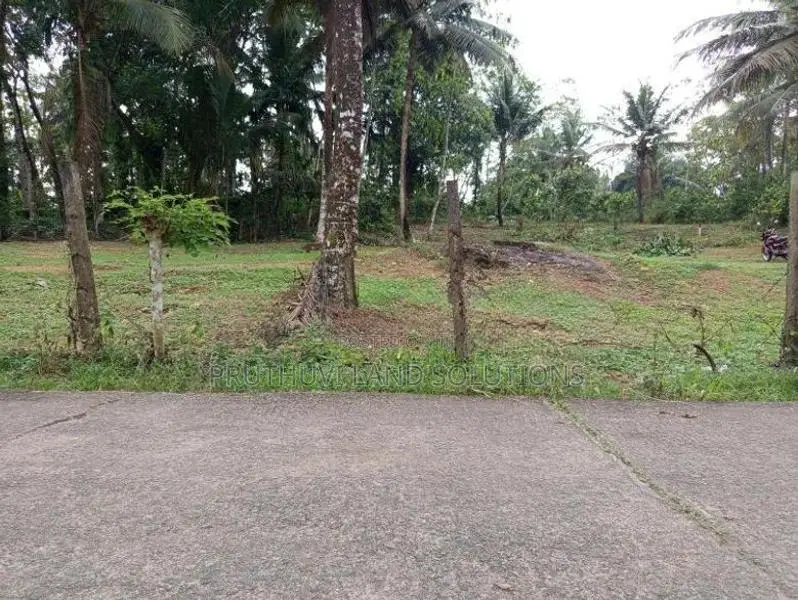 Land For Sale Hanwella