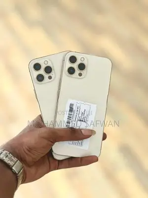 Apple iPhone 12 Pro Max (Used)