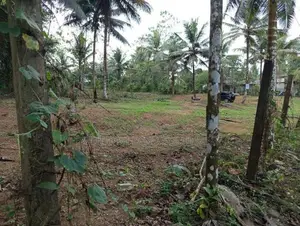 Land For Sale Hanwella