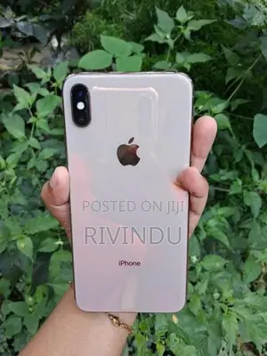 Apple iPhone XS Max 256GB (Used)