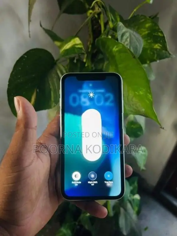 Apple iPhone 11 (Used)